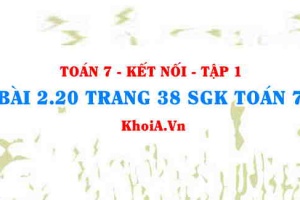 Bài 2.20 trang 38 SGK Toán 7 tập 1 Kết nối tri thức